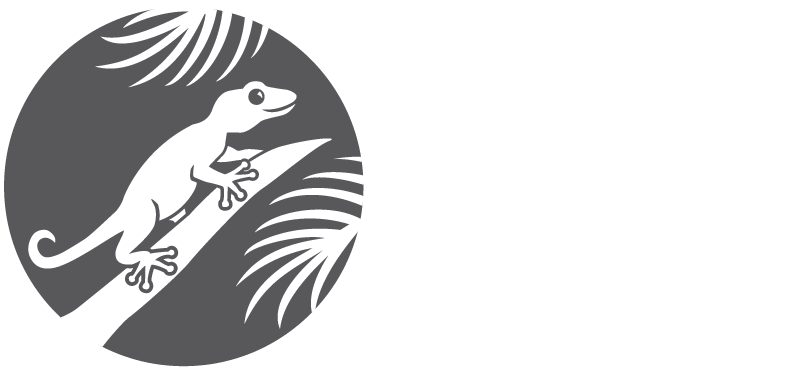 Gecko Garden School